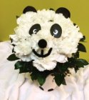Edmonton Florist, Panda Bear design in Pot/NW-8