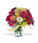 Edmonton Florist, Gerberas, Hydrengea,Alstromeria & more in Vase -Call 780-914-8045 to order/NW-9