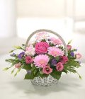Edmonton Florist, Basket for Someone special/T25