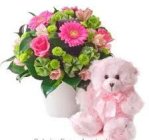 Edmonton Florist, Buttons, Gerberas, Roses, Teddy, in Container/A-07