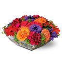 Edmonton Florist, Orange, Purple & Red Dish  Garden /T-01
