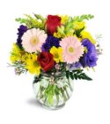 Edmonton Florist, Summer Blooms in Vase/M-06