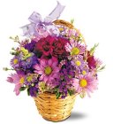 Edmonton Florist, Lavender Garden Basket - Cute/M-08