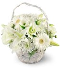 Edmonton Florist, Serenity Basket/D-01