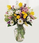 Edmonton Florist, Daisies,Buttons, Solidago, Waxflower, greens & More in Vase/E303