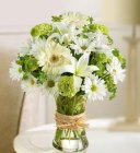Edmonton Florist, Gerberas, Fujis, Lilies, Buttons, Daisies, in Green & White in vase/E304