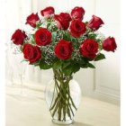 Edmonton Florist, 12 long stem roses arranged in vase with babies breath , greens & bow/V-12
