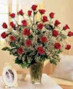 Edmonton Florist, 24 long stem roses arranged in a vase with greens and babies breath/V-21