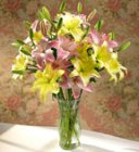 Edmonton Florist, 10 Stems of Asiatic Lilies in Vase/E513