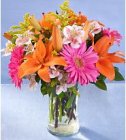 Edmonton Florist, Gerberas, Lilies, Solidago, Asltromeria in vase/H-02