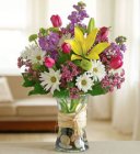 Edmonton Florist,  Vase arangment in rainbow of colors- Large/SH-4