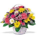 Edmonton Florist, Daisies, Carnations, Alstromeria & more in Basket/025