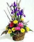 Edmonton Florist, Iris, daisies, solidago, waxflowers, greens willow/E602