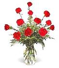 Edmonton Florist, Dozen carnations arranged in vase/D-32