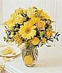 Edmonton Florist, Yellow sensation - with Real Lemon inside vase/075