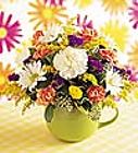 Edmonton Florist, Colorful & Cheery Cup arrangement/015
