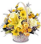 Edmonton Florist, Lily, daisies, carnations, minis, in a basket/078