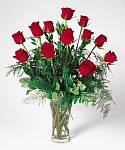 Edmonton Florist, 12 stems of roses,  greens, vase/005