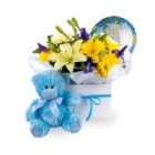 Edmonton Florist, Mr. Teddy , Myler Balloon, Baby Boy Flower Bouquet in Vase/051