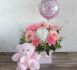 Edmonton Florist, Pink & Whites to welcome a Baby Girl , Teddy Bear, Mylar Balloon/061