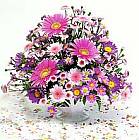 Edmonton Florist, Gerberas, Daisies arrangement/081