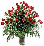 Edmonton Florist, 36 Roses, leather leaf, fern,vase-WOW Factor/012