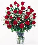 Edmonton Florist, 24 roses, fern, babies breath, vase/010