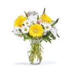 Edmonton Florist, February Special