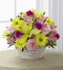Edmonton Florist, Lily, Roses, Daisies, Carnations, Fuji , Alstro in Basket/E13