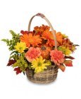 Edmonton Florist, End os Summer Basket Filled with  Blooms/E800