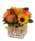 Edmonton Florist, Cube filled with Sunflower ,Roses, Daisies, Buttons/E801