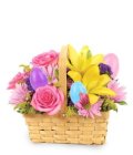 Edmonton Florist, Spring Basket Full of Bright Flowers/908