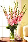 Edmonton Florist, California Gladiolas in Vase/058