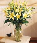 Edmonton Florist, 10 stems of Asiatic Lillies in Vase/060