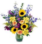 Edmonton Florist, Delivery of Spring & Sunshine -Sunflowers, roses, lily, greens, vase/065