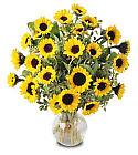 Edmonton Florist, 15 sunflowers in vase/066
